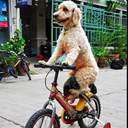 Drew Stuart - @drew0stuart - Twitter