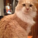 Gloria Phillips - @glophillips - Twitter