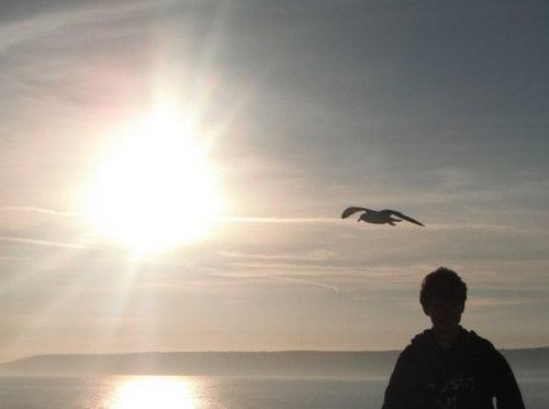 JoshuaGentry5's profile picture. 