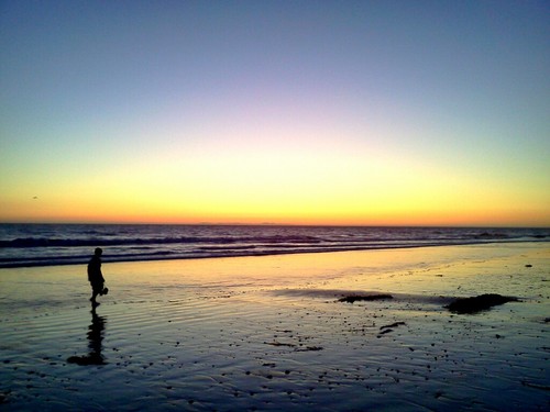 paccoastservice's profile picture. 