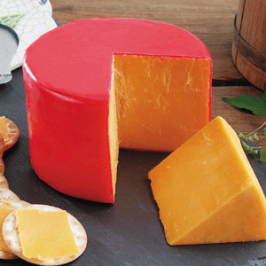 KasemeisterX's profile picture. Master of all Cheese