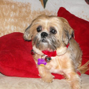 Rita Giordano - @knitster125 - Twitter