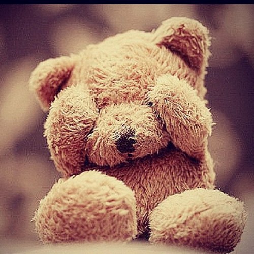 Teddy