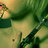 _april_fool_lie's profile image