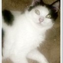 Elizabeth Marie - @MarieQuezada - Twitter