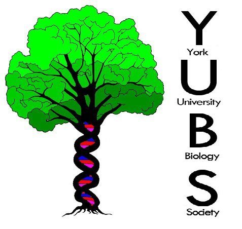 Department-affiliated organization dedicated to assisting all students to succeed in undergraduate Biology courses and to get involved in the York community.