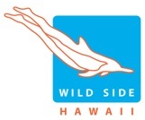 WildSideHawaii's profile picture. Whale Watching | Swimming with Wild Dolphins | Turtle Reef Snorkel Tours | Ranked as a Top Five Best Hawaii Tour