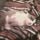 Peggy Patterson - @patterson_peggy - Twitter