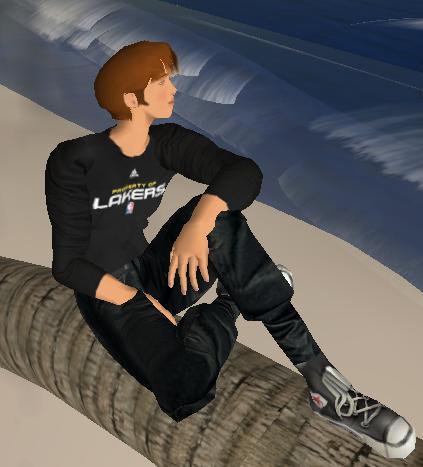 Second Life and Minecraft character. Who enjoys 80s music and creating things.