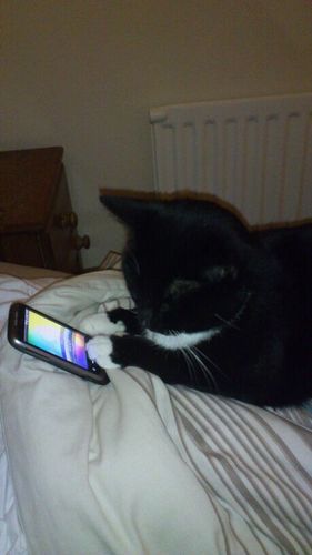 PulpedYams's profile picture. Feed me ma mints