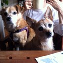 Molly Jaeger - @MollyJaeger - Twitter