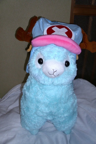 Katsu_ALPC48's profile picture. かわいい戦隊　ALPC48（チョッパー帽のアルパカ達、たまにキティちゃん）主にニュースに対する意見・感想をつぶやきます。勝手に割り込みでディベートのように対立・客観意見をつぶやくことも。※非公式アカウントです。お気に入りで判断してね。