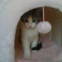 포근이 (@1pnadda) 's Twitter Profile Photo 포근이 (@1pnadda) 's Twitter Profile Photo