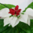 pado1229's profile image