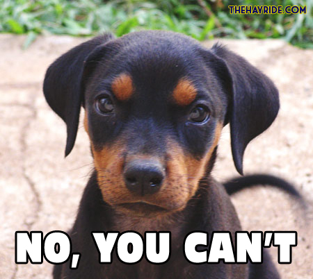 bisek67's profile picture. Just your average run of the mill conservative disgusted with a lot of people on the left.