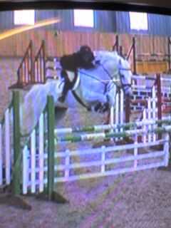 Qualified instructor - working with riders & their horses to enhance their patnership & help them to get the best from each other - 07771522794