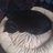 Nocif_'s profile image