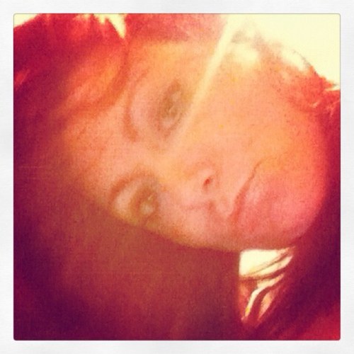 daniladybird's profile picture. 