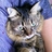 utauta0826's profile image