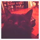 allison purdy - @allison_purdy - Twitter