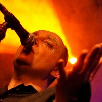 Stu Galahad (@stugalahad) 's Twitter Profile