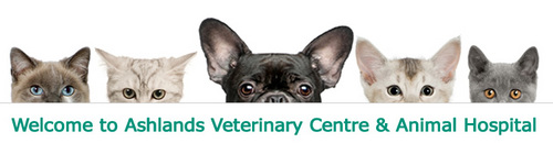 We are a small animal Veterinary Practice located in Ilkley, Glusburn, and Skipton, West Yorkshire. Call 01943 817000 or 01535 632608 for more info