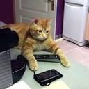 Caroline Afonso - @afonso_caroline - Twitter