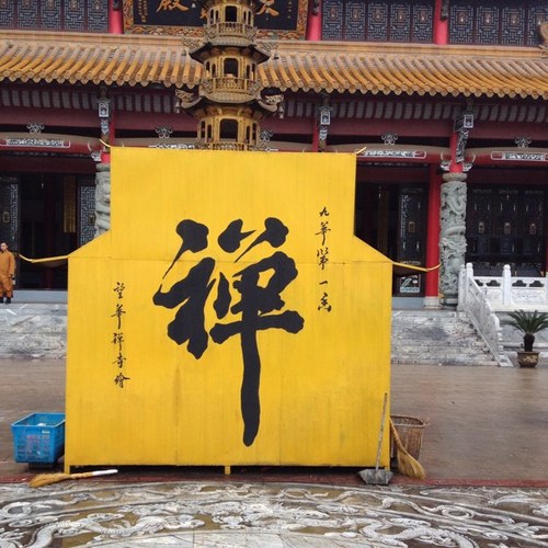 paulovine's profile picture. 