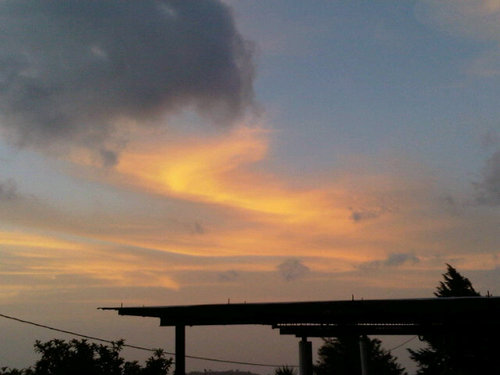 MCSG1307's profile picture. 