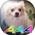 meriosu5581's profile picture. AAA（FC）/SKY-HI/Nissy/UN/S S/UNO/HP!/ Buono!＆Berryz工房/嗣永桃子/℃/東京女子流/わーすた/娘。/WJ/松浦勝人/つんく♂/TK/伊藤千晃/伊藤萌々香/鈴木愛理/武田舞彩/島村嬉唄/ Varorant/しがない音屋