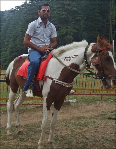 rummyarora99's profile picture. 