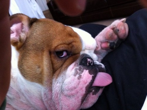 jimchimcheroo's profile picture. 