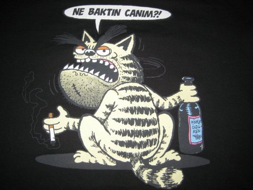 myg_edebiyat's profile picture. 