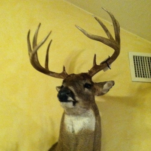 ClubDoeMgmt's profile picture. Father, Husband, Avid Archer, Ex-pro baseball pitcher, Jeweler