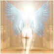 ytlonksiii's profile picture. Официант , Работаю