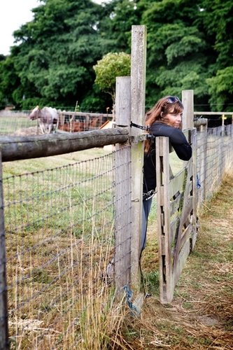 seabreezefarm2's profile picture. Locavoracious farm, winery, restaurant & butcher shop (La Boucherie) and certified raw milk dairy on #Vashon Island, Washington.