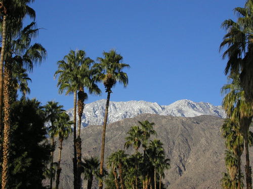 Beautiful Downtown and Uptown Palm Springs California Eat - Drink - Shop - Play - Relax at over 500 businesses beneath majestic Mt San Jacinto