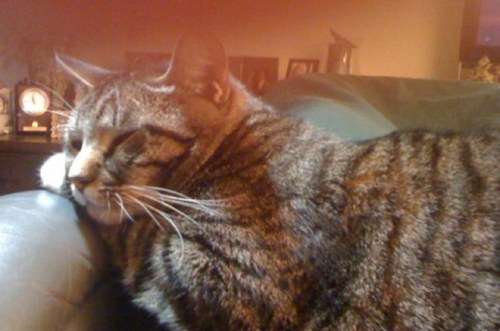 SueEsk's profile picture. 