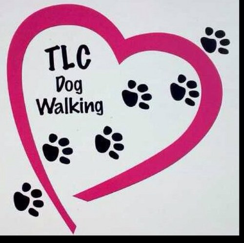 ♥ Daily FB updates. A professional dog walking service based in West Yorkshire. You can see our blog at https://t.co/zp9jOwidiK