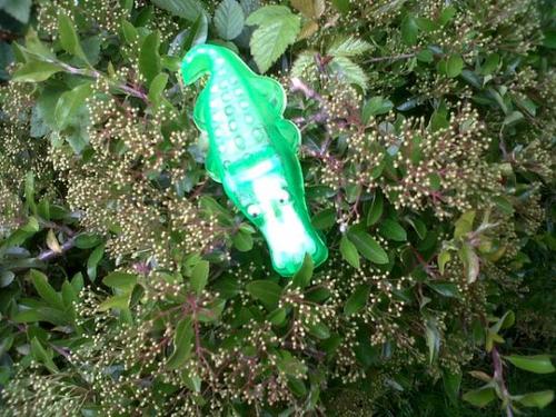 snappystapler's profile picture. hello, my name's snappy. i'm just your average crocodile stapler i guess, p.s snap snap snap