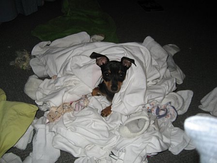 ShelbyMacKeen's profile picture. 