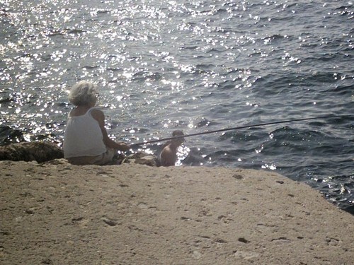 AnneLaureDodey's profile picture. Bibliothécaire