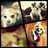 Muiiuy's profile image