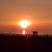 Diane Kashin (@dianekashin1) 's Twitter Profile
