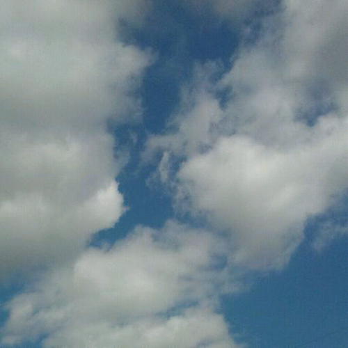 rainnamoo's profile picture. 진실에 인생의 승부를 걸고싶은 귀차니스트 .치실같은 프로그램을 만들어야 안되겠니.