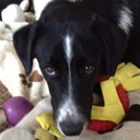 Marutxa - @ElenaFleck - Twitter