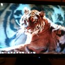 mathieu alfred - @MathieuAlfred - Twitter