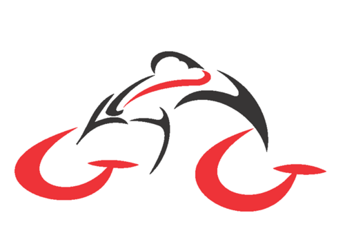 GG CYCLES & SPORT