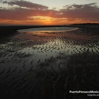 PuertoPeñasco Mexico (@ppmexico) 's Twitter Profile