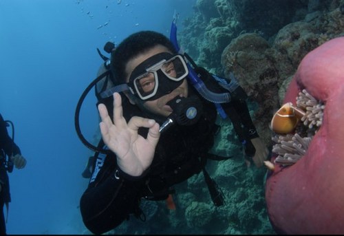 kenguru999's profile picture. 